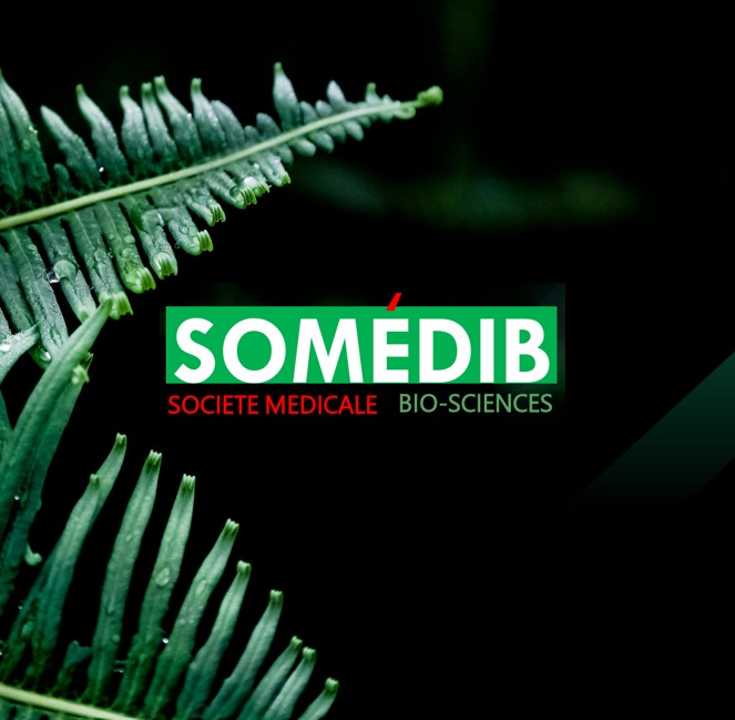 Analyseur de laboratoire SOMEDIB